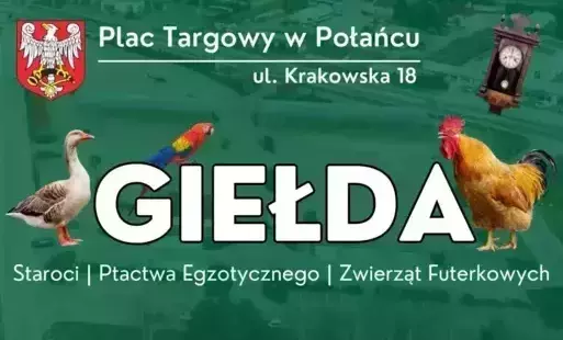Zdjęcie do Zapraszamy na kolejną giełdę staroci, ptactwa egzotycznego oraz zwierząt futerkowych