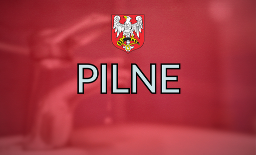 Pilne